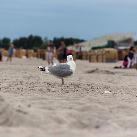 Ferienwohnungen-Neue-Tiefe-Wohnung-Kleiderbuegel Neue Tiefe Fehmarn Bagian luar foto