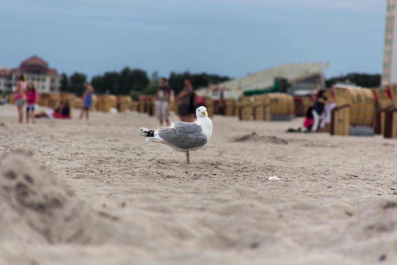 Ferienwohnungen-Neue-Tiefe-Wohnung-Kleiderbuegel Neue Tiefe Fehmarn Bagian luar foto